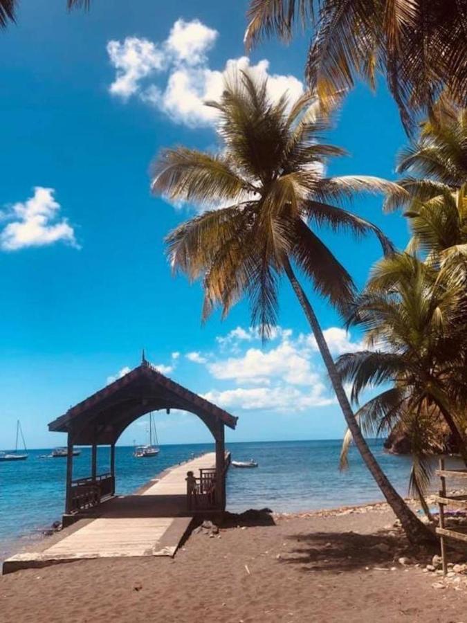 Studio Sainte Anne 2Mn A Pieds De La Plage ,Possibilite Location De Voiture Экстерьер фото